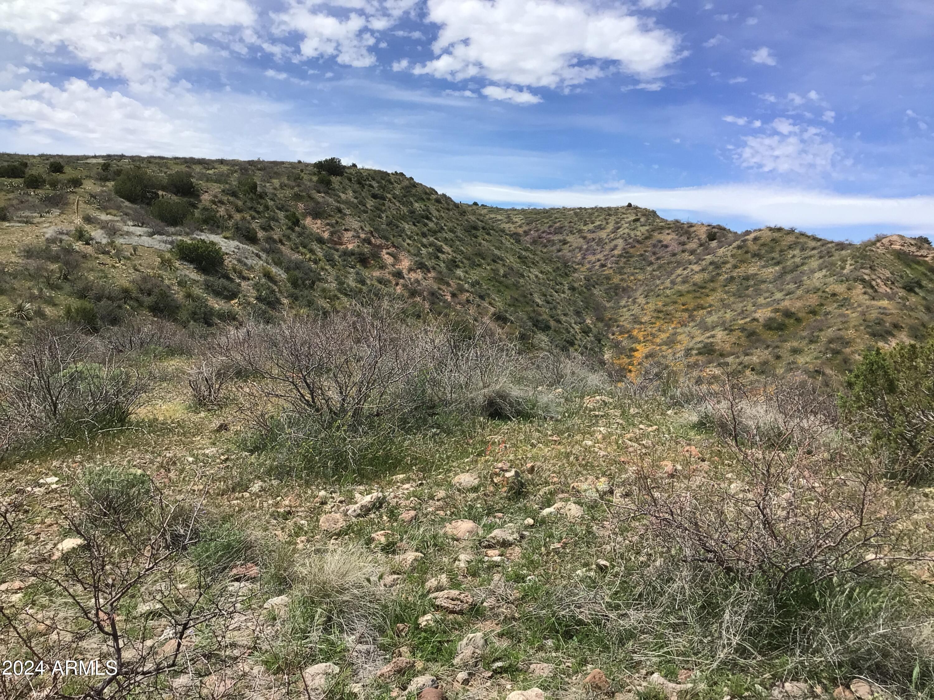 Lot 274 South Highpoint Rnch Road, Unit 274 Willcox, AZ 85643 - Photo 25 of 29 IMG_2861