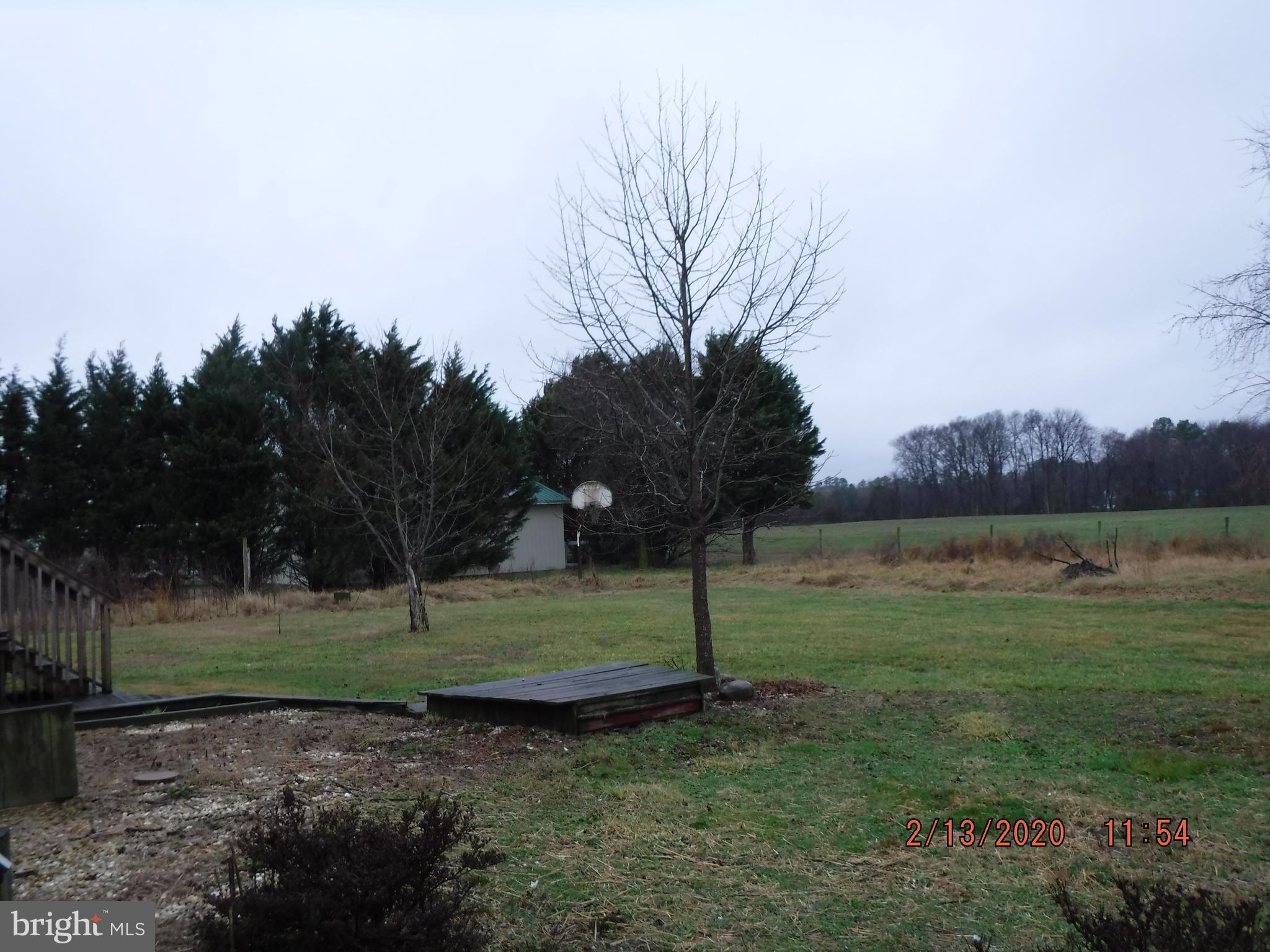 555 Lobo Road Harrington, DE 19952 - Photo 4 of 19 Gallery Image 4