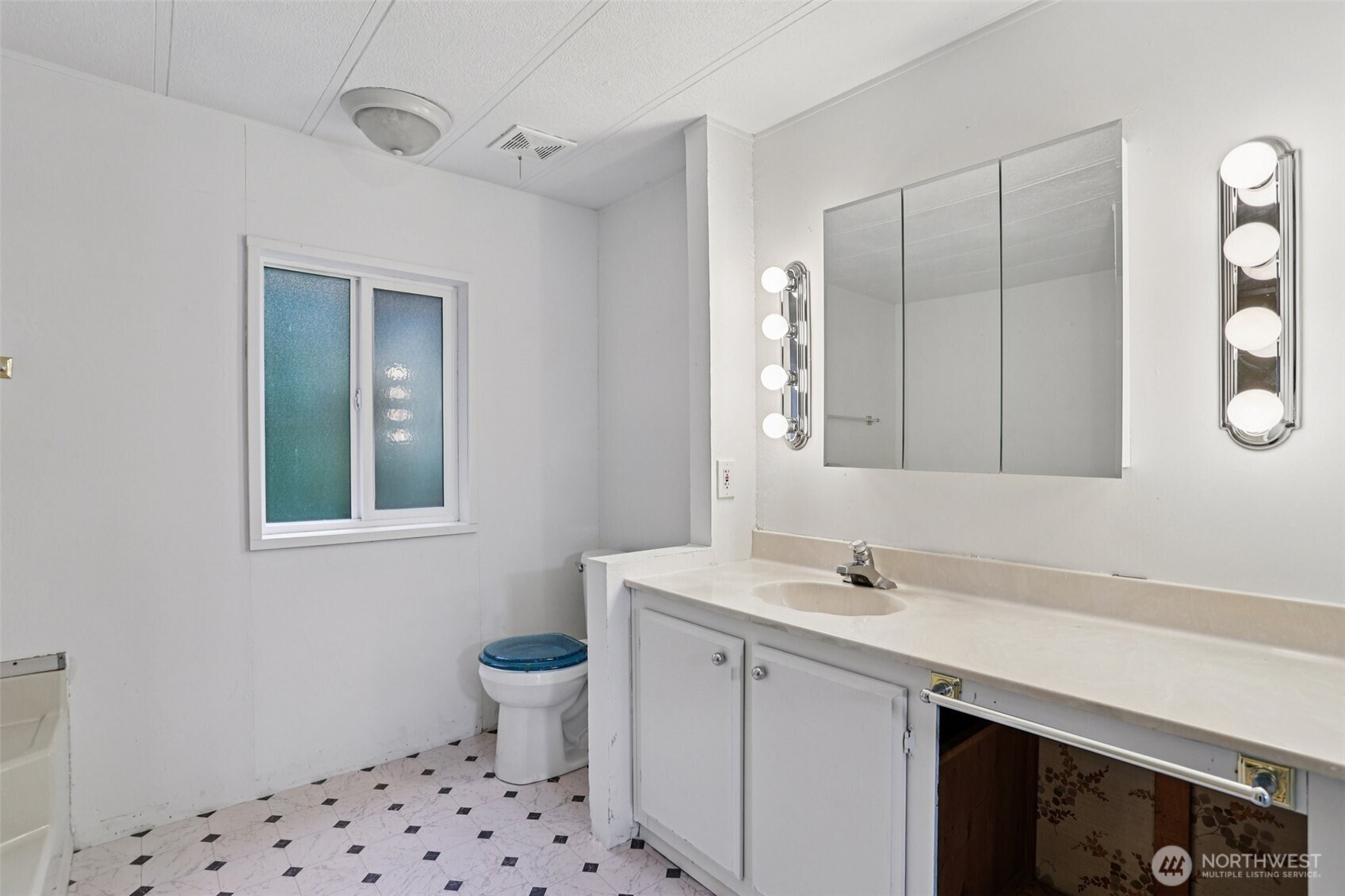 34408 Northeast 111th Street Carnation, WA 98014 - Photo 15 of 34 a bathroom with a sink a toilet and a mirror