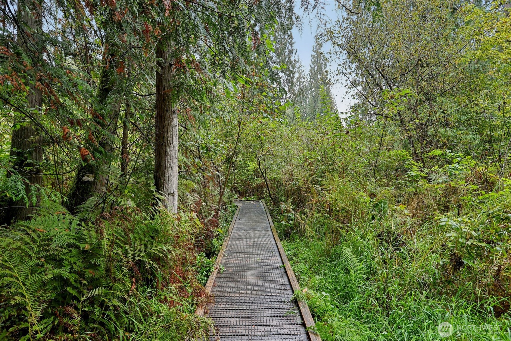 34408 Northeast 111th Street Carnation, WA 98014 - Photo 27 of 34 a view of a pathway with a tree