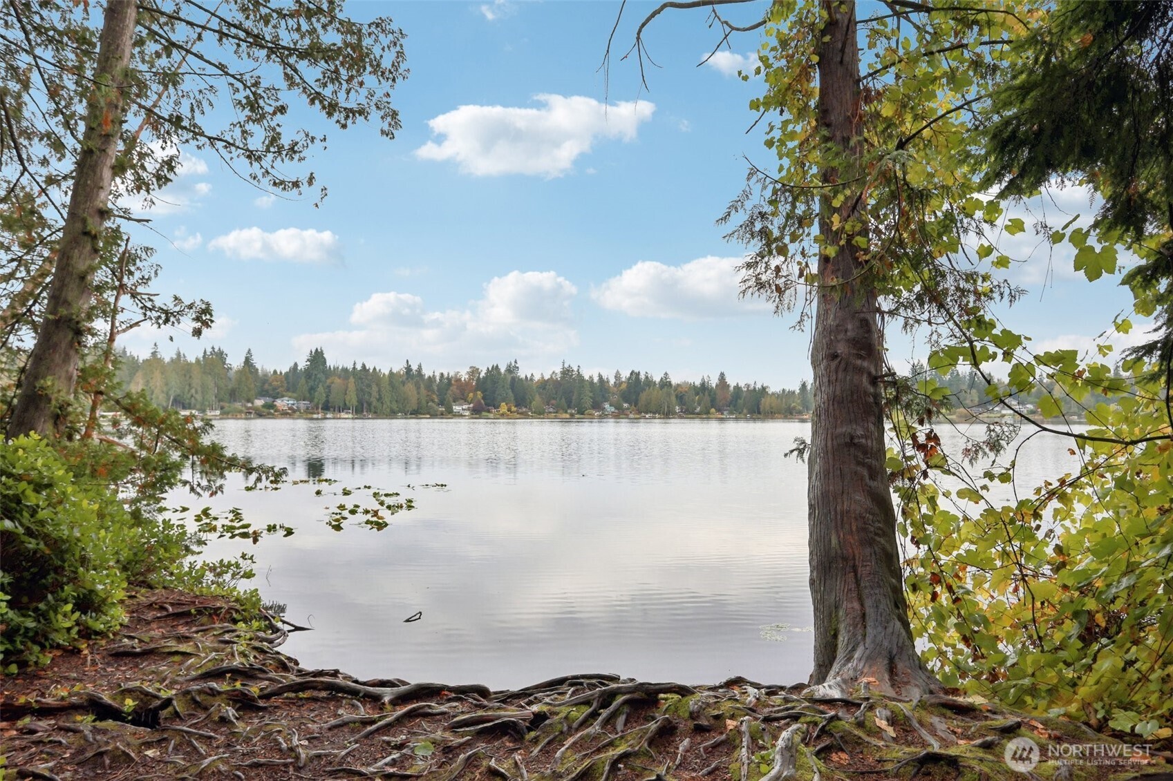 34408 Northeast 111th Street Carnation, WA 98014 - Photo 28 of 34 a view of a lake from a yard
