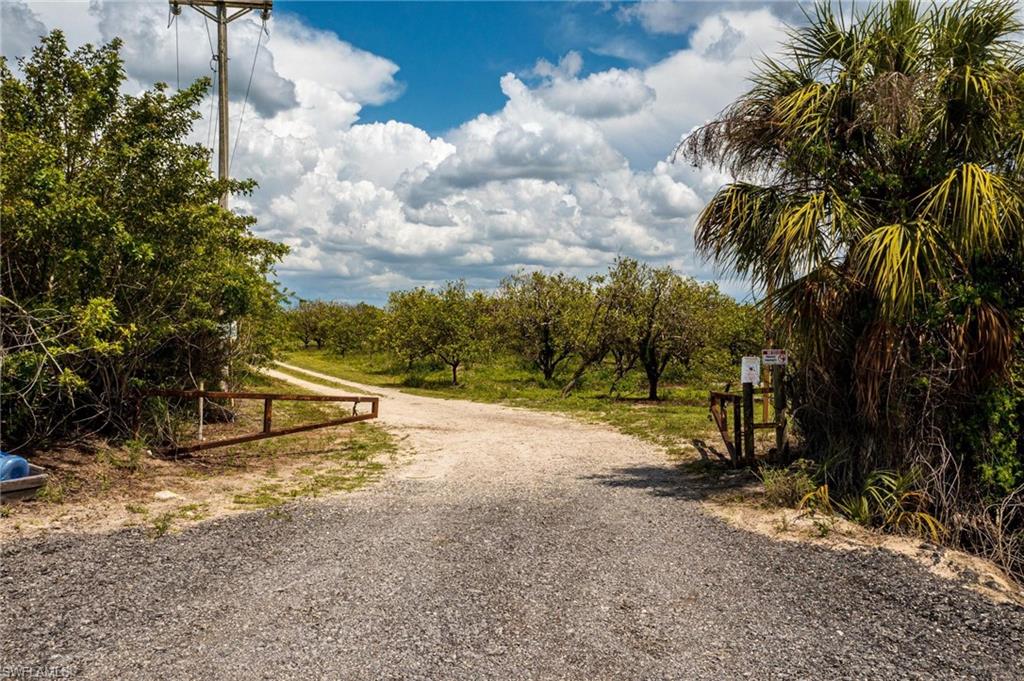 21999 Carter Road Estero, FL 33928 - Photo 14 of 15