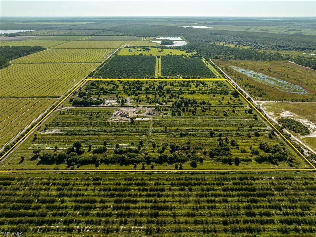 21999 Carter Road Estero, FL 33928 - Photo 7 of 15