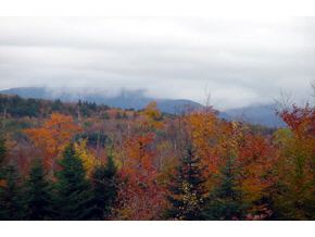 0 Hadley Road Sugar Hill, NH 03585 - Photo 2 of 3