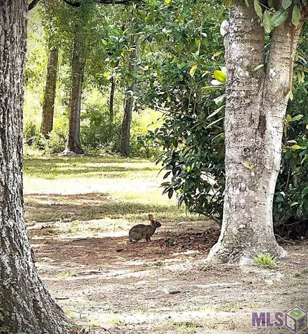 $176,000 | 9754 Plank Road, Clinton, LA 70722