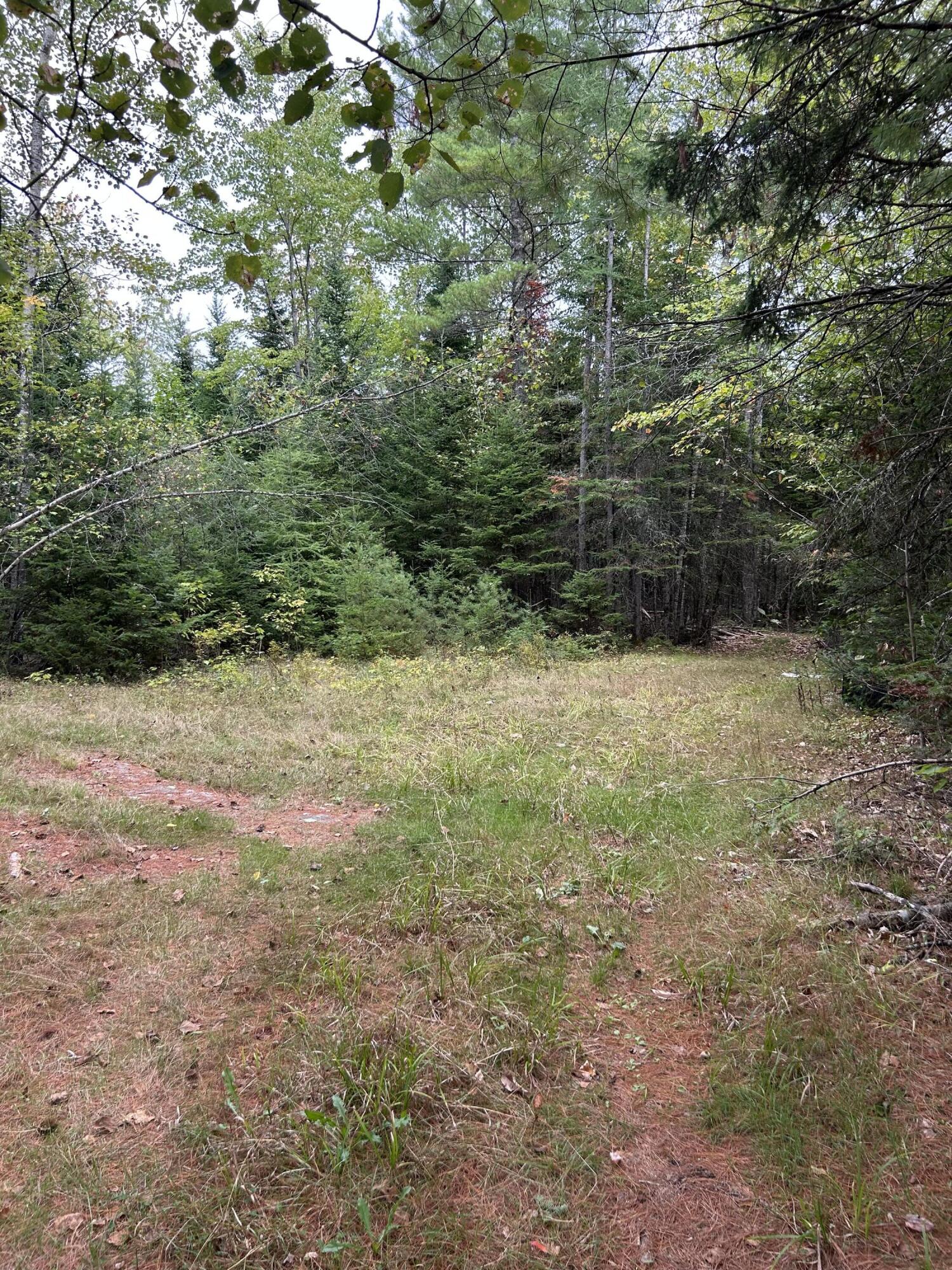 77 Ridge Road Charleston, ME 04422 - Photo 4 of 7 IMG_0863