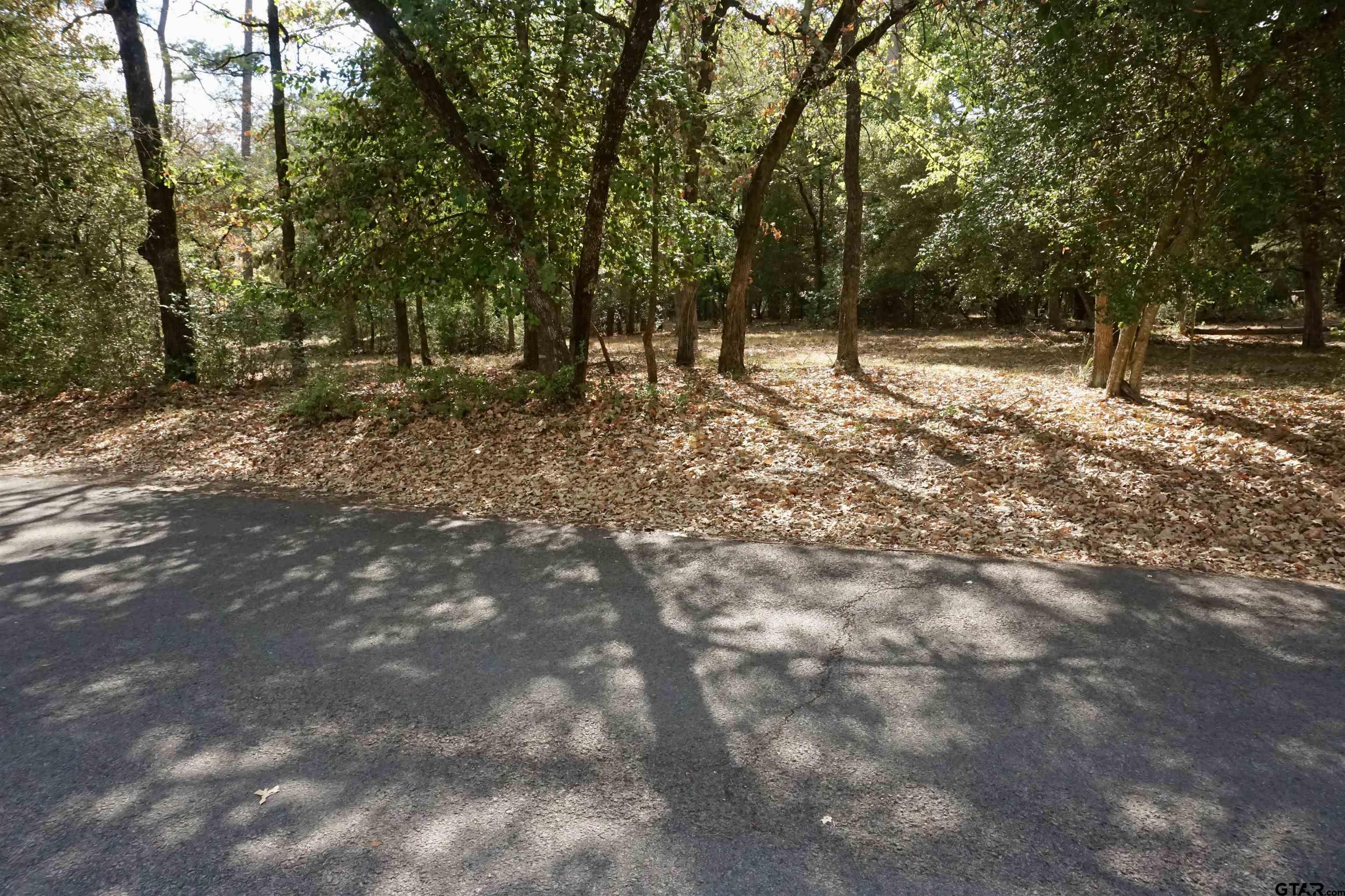Tbd Tbd Holly Lake Ranch, TX 75765 - Photo 4 of 19 Gallery Image 4