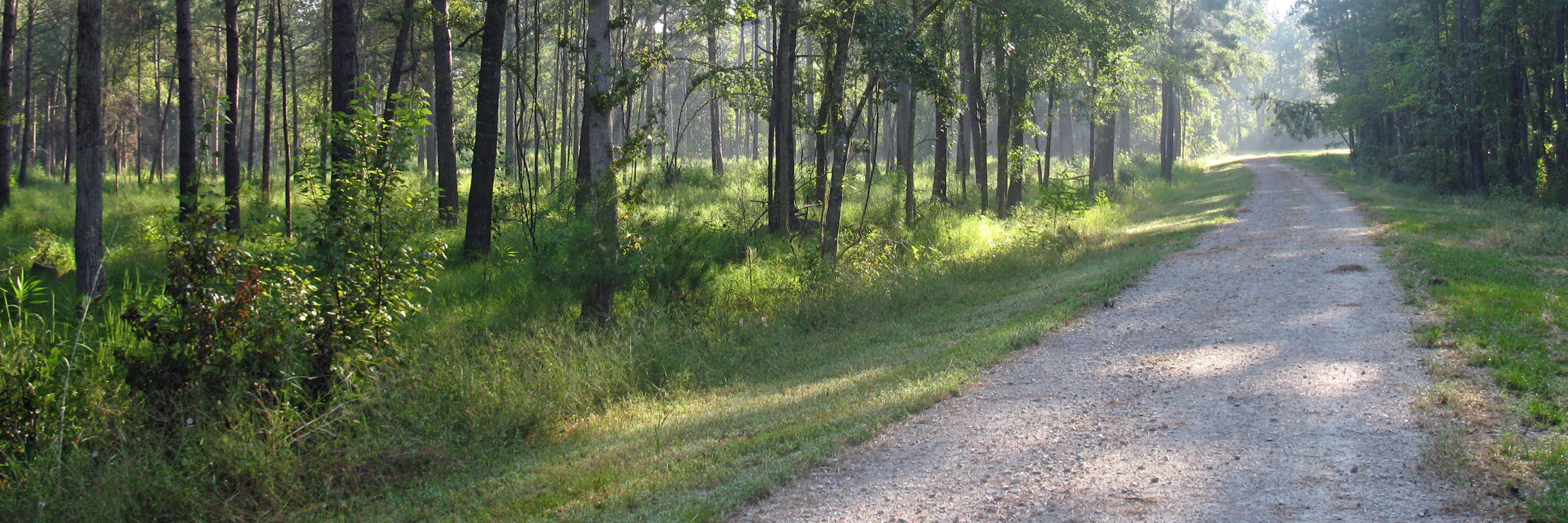 1 Hydrick Road Ruffin, SC 29475 - Photo 2 of 6 14