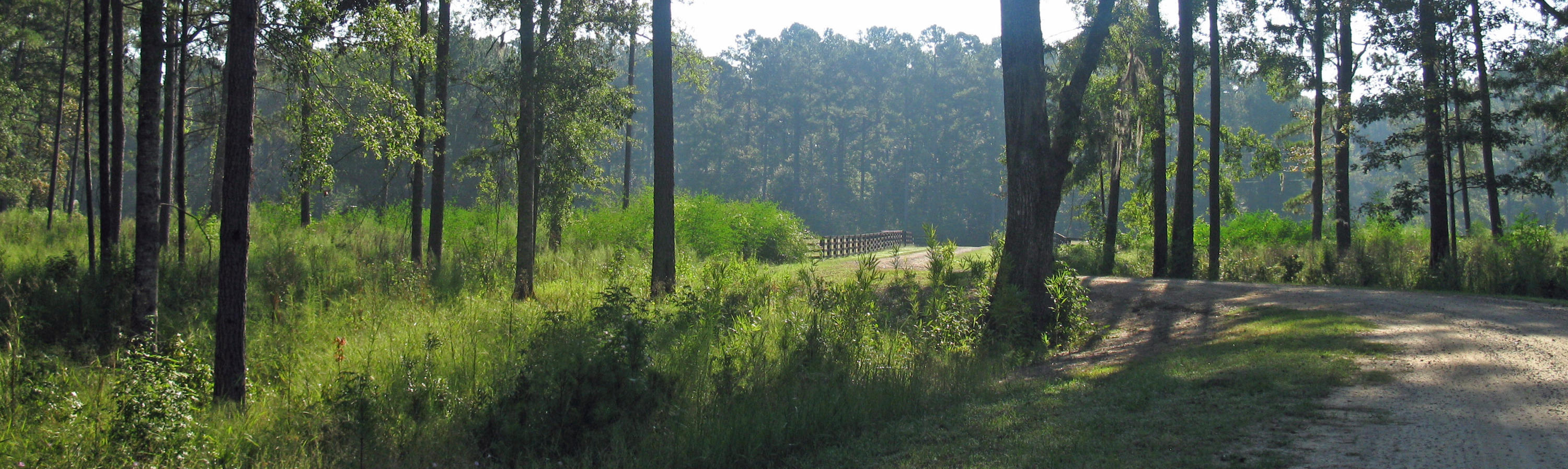 1 Hydrick Road Ruffin, SC 29475 - Photo 3 of 6 4