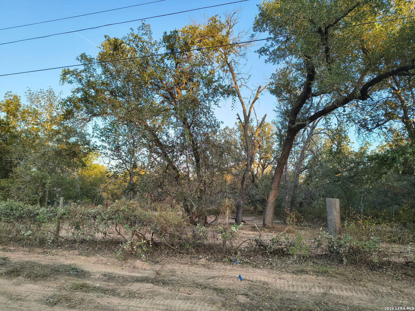 0 Priest Road Elmendorf, TX 78112 - Photo 3 of 11 Gallery Image 3