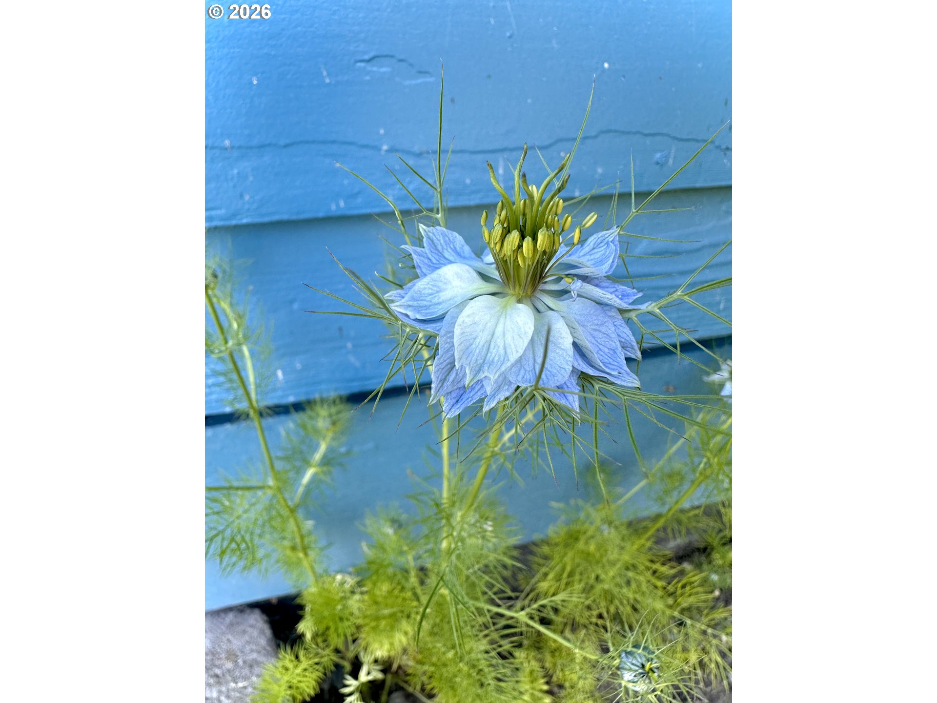 369 South 10th Street Coos Bay, OR 97420 - Photo 36 of 48