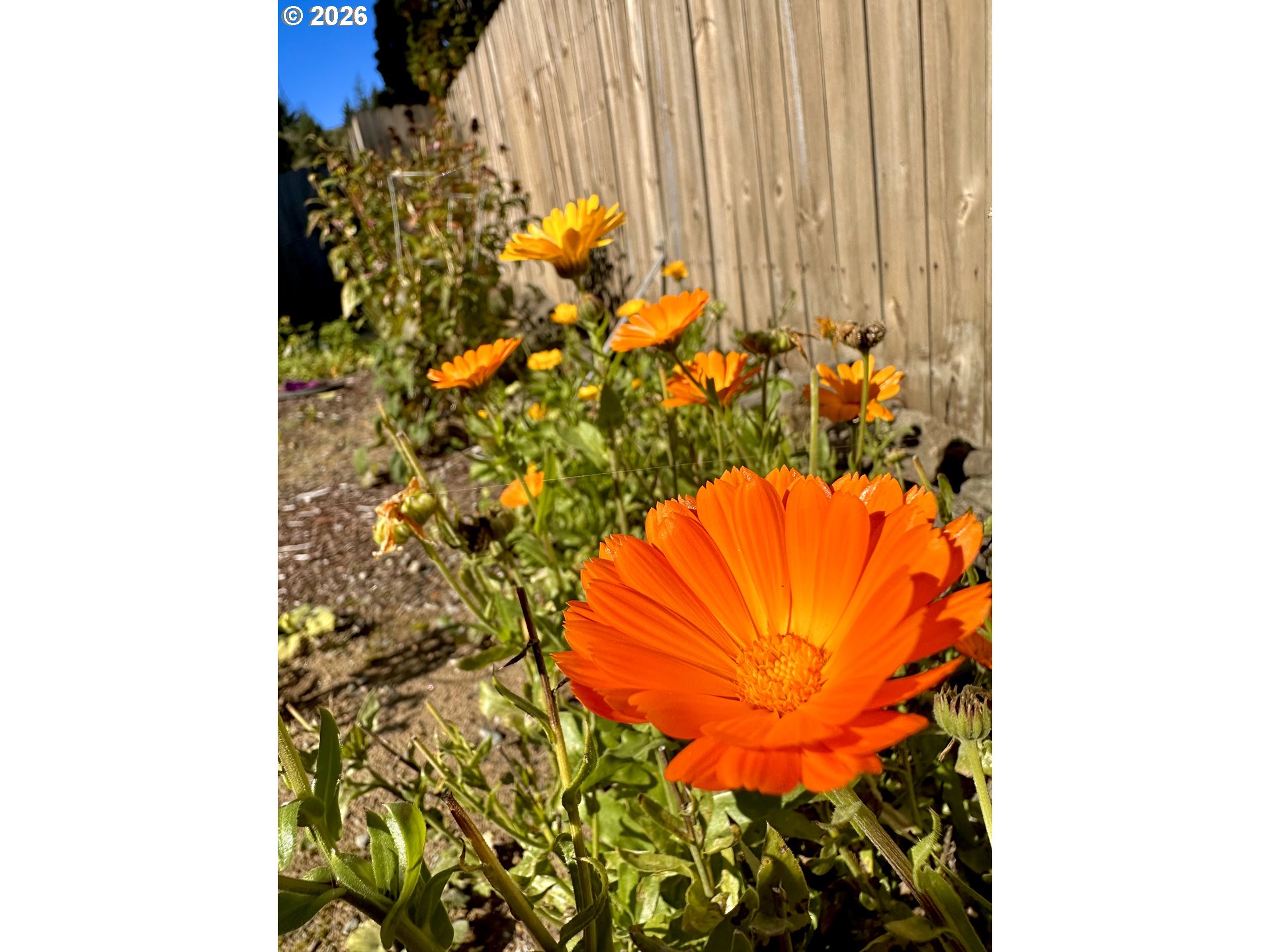 369 South 10th Street Coos Bay, OR 97420 - Photo 38 of 48