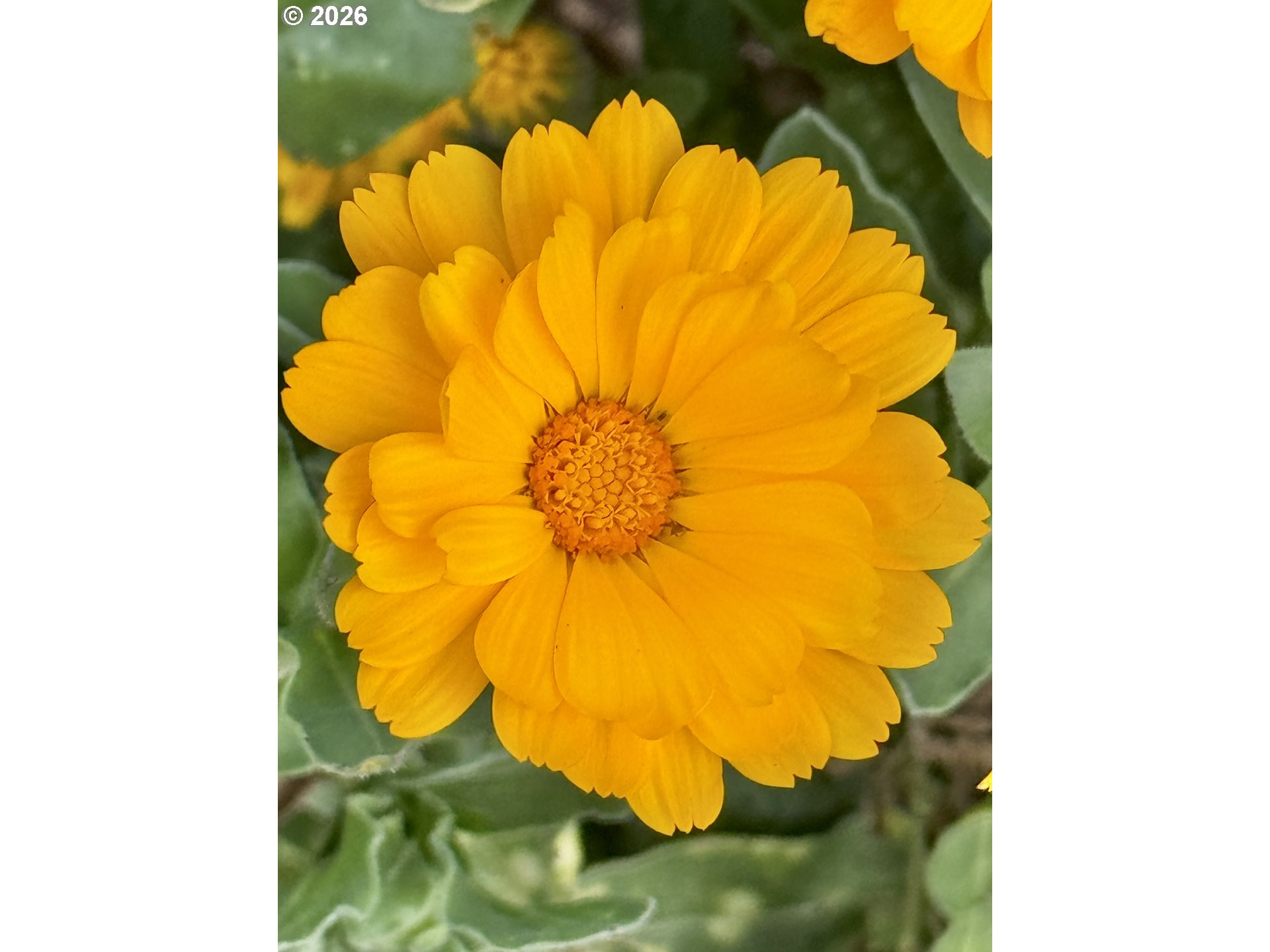 369 South 10th Street Coos Bay, OR 97420 - Photo 39 of 48