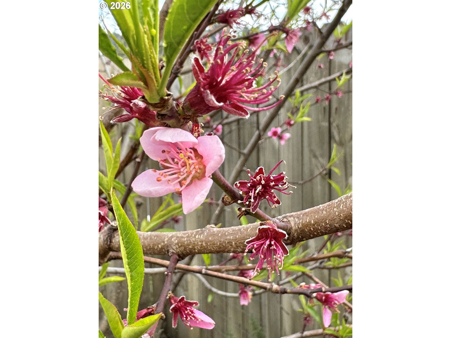 369 South 10th Street Coos Bay, OR 97420 - Photo 41 of 48