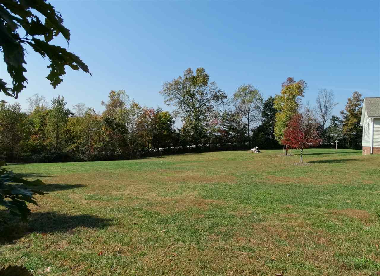 2023 Twymans Mill Road Madison, VA 22727 - Photo 3 of 30 Gallery Image 3
