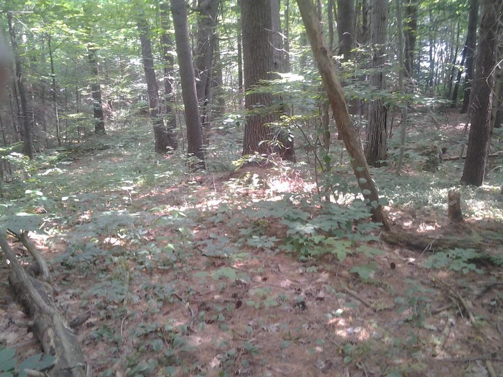 0 Pleasant Pond Road Turner, ME 04282 - Photo 8 of 15 Photo