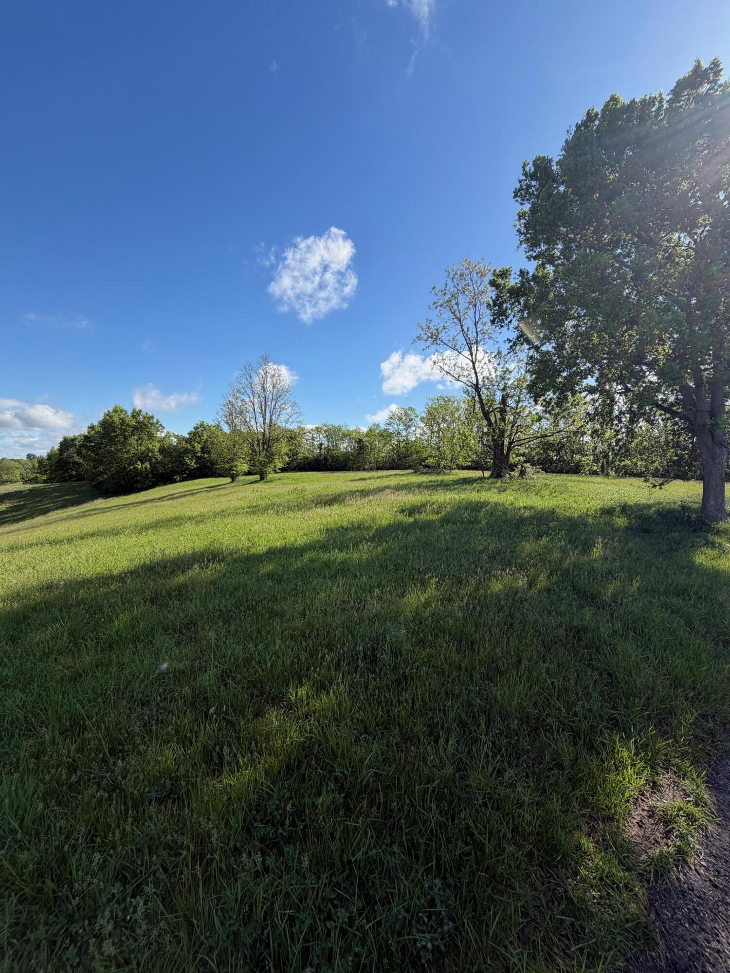 11.19-ac Chipman Ridge Road Williamstown, KY 41097 - Photo 9 of 12