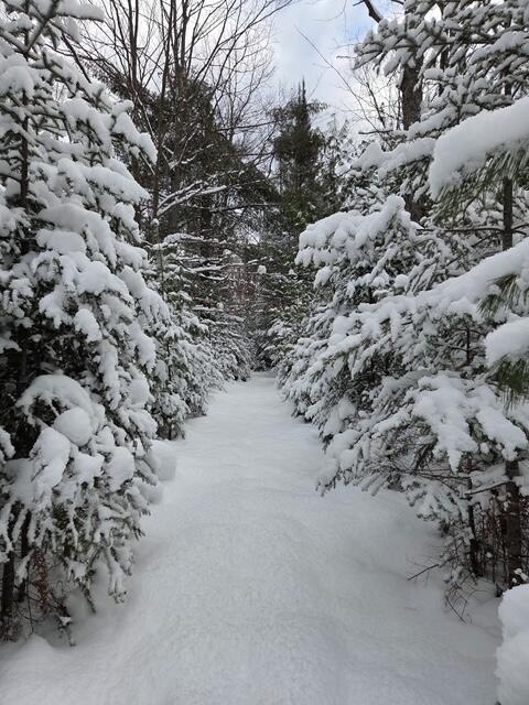 9606 Munger Road Afton, MI 49705 - Photo 19 of 44 winter walk