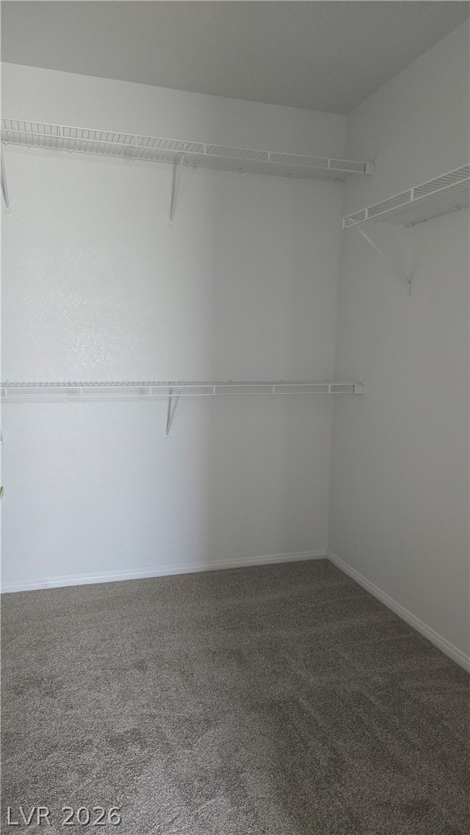 9031 Spring Star Court Las Vegas, NV 89148 - Photo 14 of 17 This spacious closet offers ample storage with convenient wire shelving.