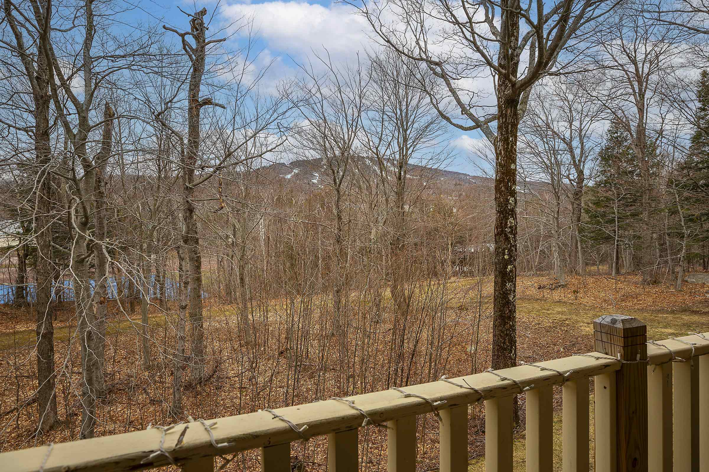 75 East Birch Road, Unit 39 Stratton, VT 05155 - Photo 35 of 39 Gallery Image 35