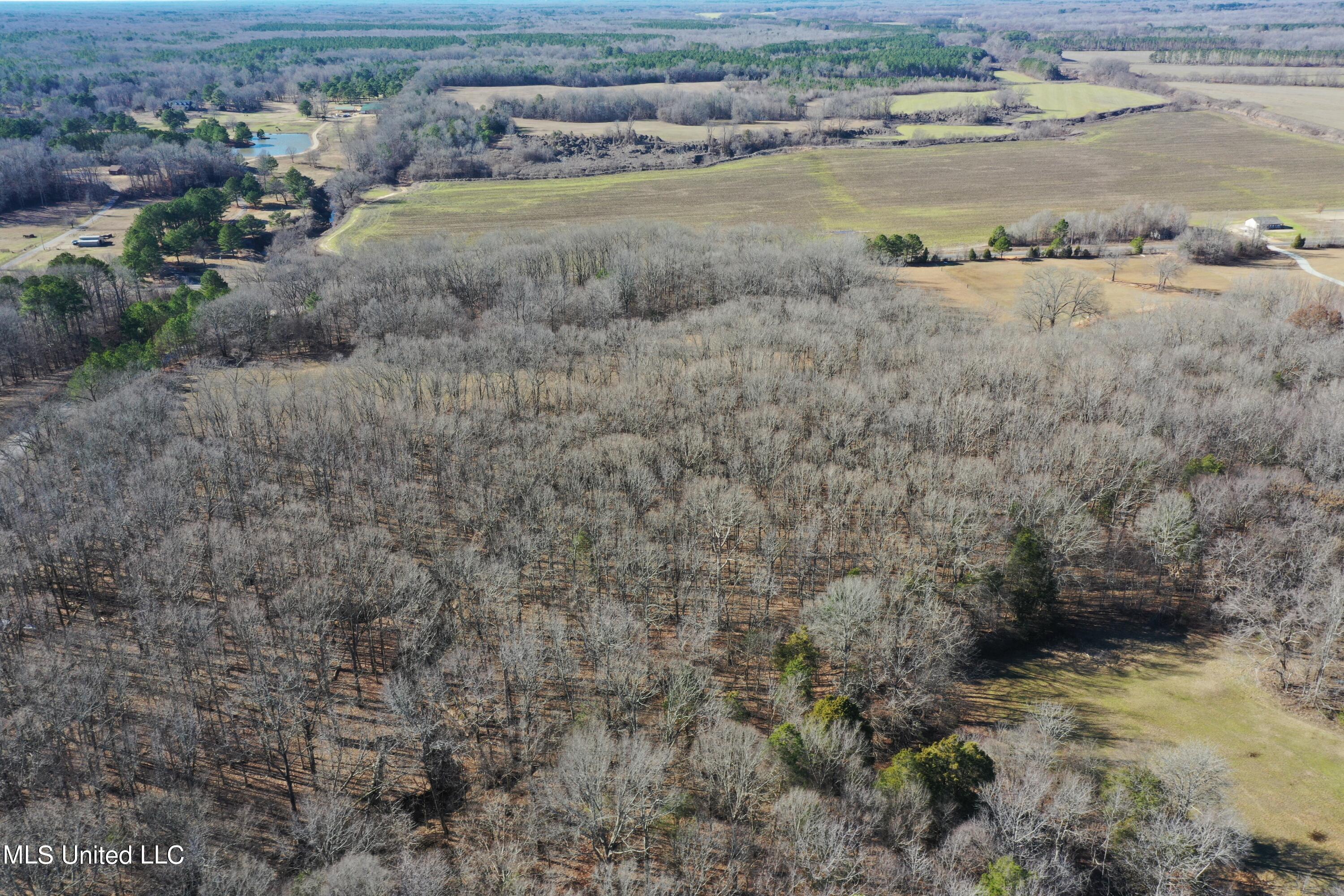 6.3 Victoria Road Holly Springs, MS 38635 - Photo 3 of 3 DJI_0969