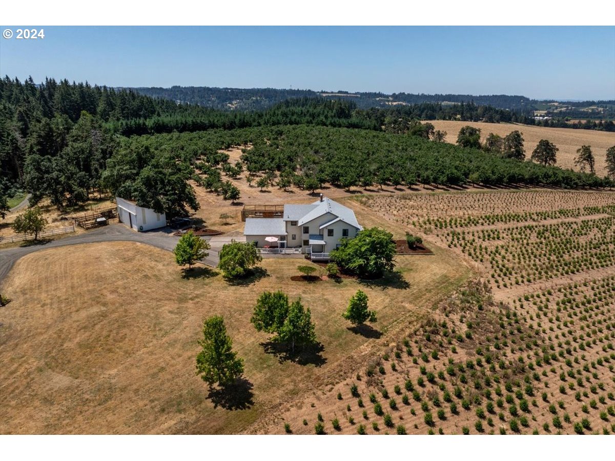 9914 South Wildcat Road Molalla, OR 97038 - Photo 3 of 29