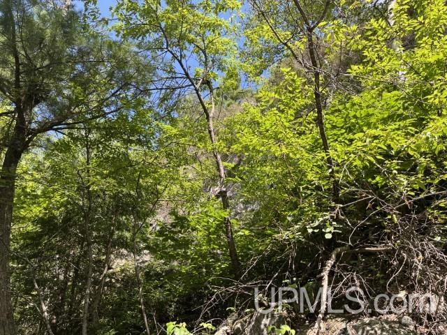 20-acres Willow Creek Road Negaunee, MI 49866 - Photo 13 of 17