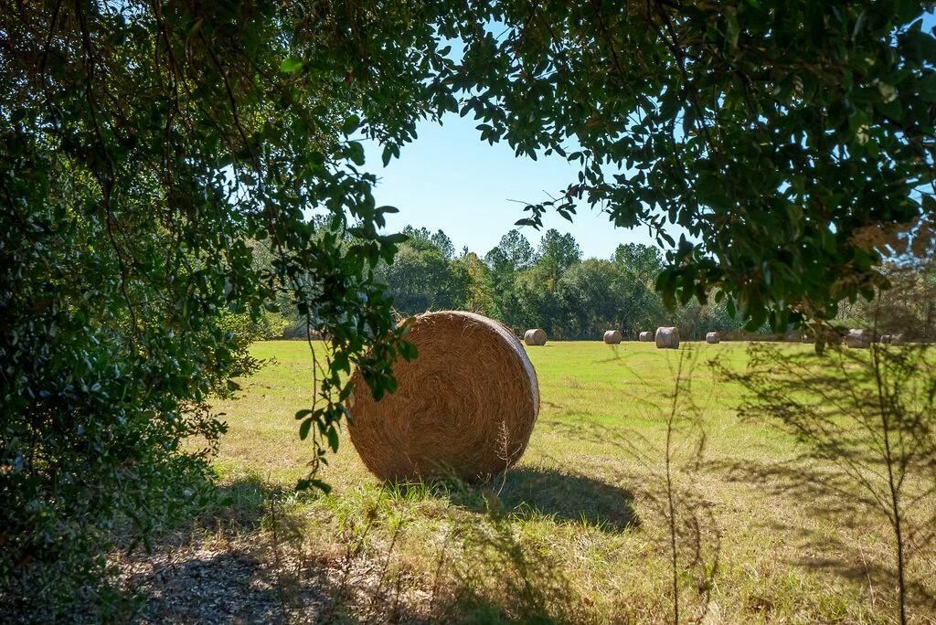 0 New Holland Road Batesburg, SC 29006 - Photo 2 of 25
