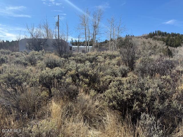 6895 Heeney Road Heeney, CO 80498 - Photo 14 of 14 Property