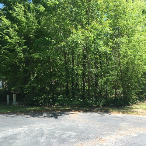 Lot 41 Lot Road Bath, NC 27808 - Photo 1 of 8 Primary Photo