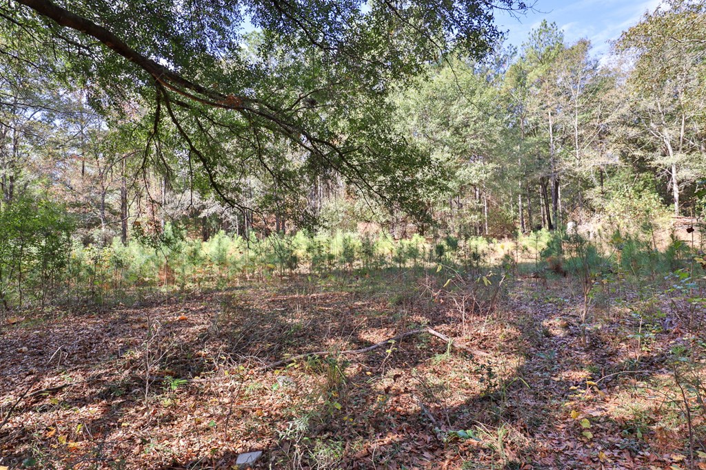 6001 Psalmond Road Midland, GA 31820 - Photo 47 of 52 Gallery Image 47