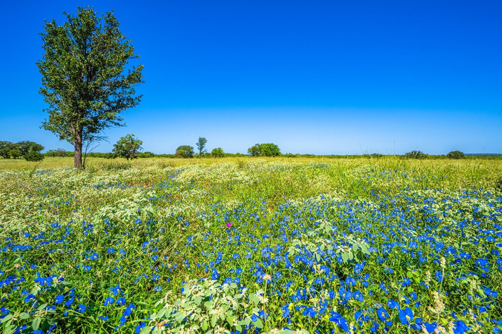 2602 County Road 406 Llano, TX 78643 - Photo 16 of 49