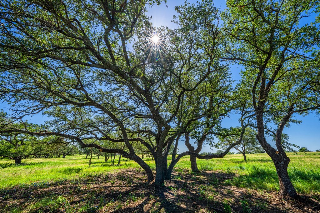 2602 County Road 406 Llano, TX 78643 - Photo 18 of 49