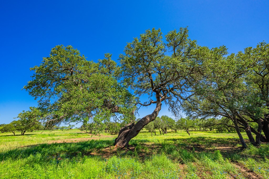2602 County Road 406 Llano, TX 78643 - Photo 29 of 49
