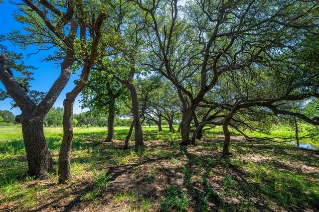 a view of a lake with a beach
