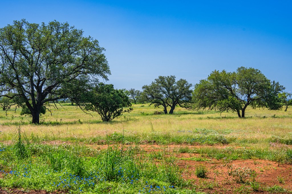 2602 County Road 406 Llano, TX 78643 - Photo 31 of 49
