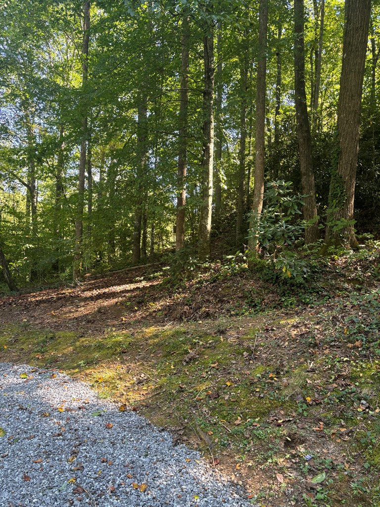 322 Pisgah Road Andrews, NC 28901 - Photo 2 of 19 Gallery Image 2