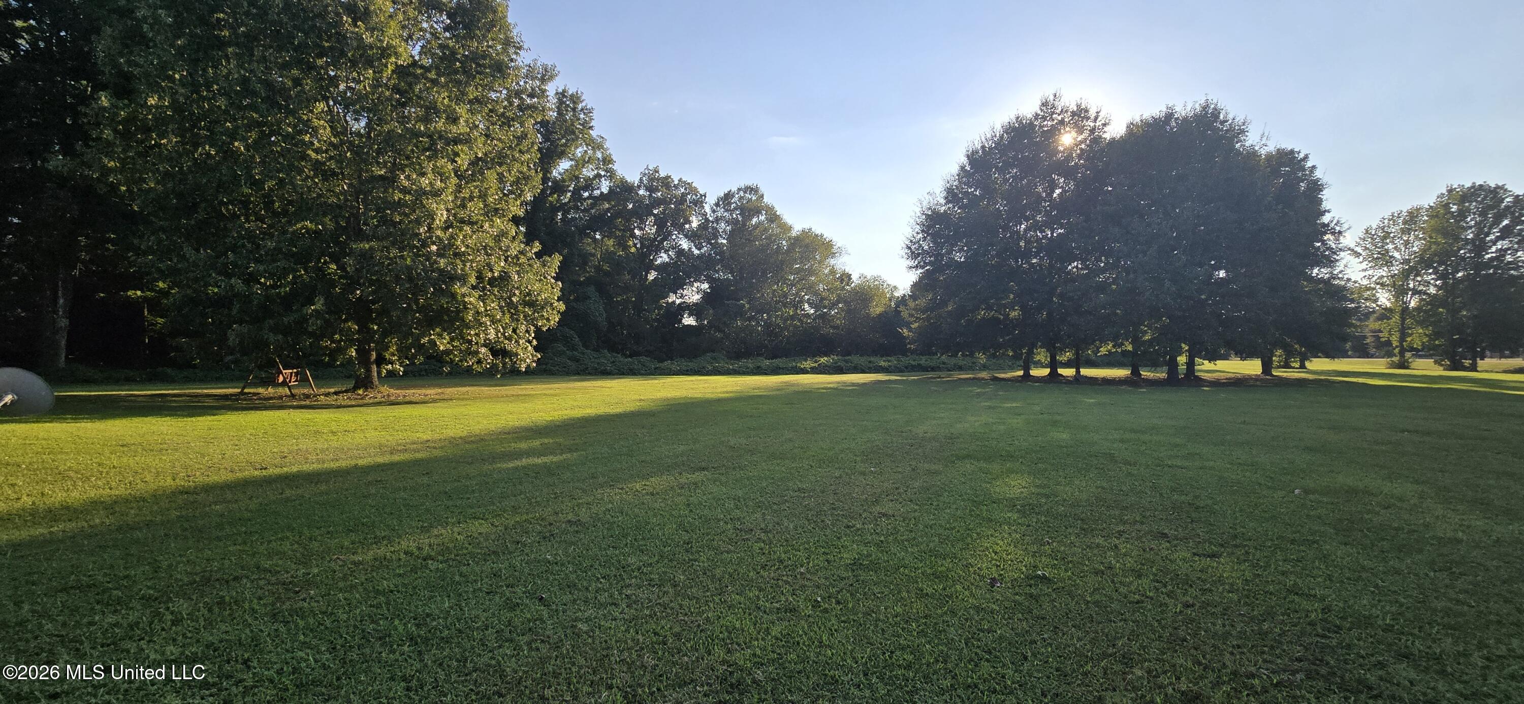 716 Cliff Williams Road Senatobia, MS 38668 - Photo 4 of 27 716 Cliff Williams Rd. beautiful yard