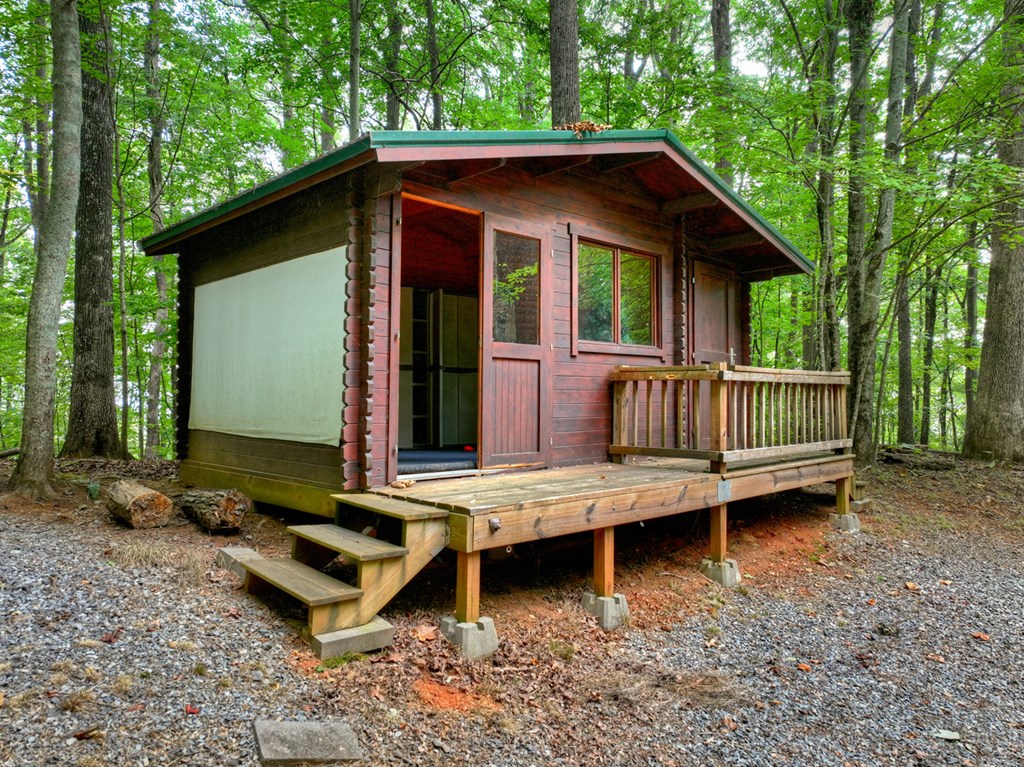 541 Little Bushy Head Road Blue Ridge, GA 30513 - Photo 5 of 45 Gallery Image 5