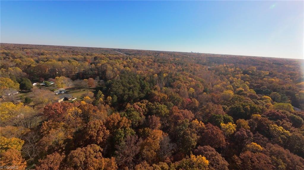 0 Old Hollow Road Winston-Salem, NC 27105 - Photo 12 of 13