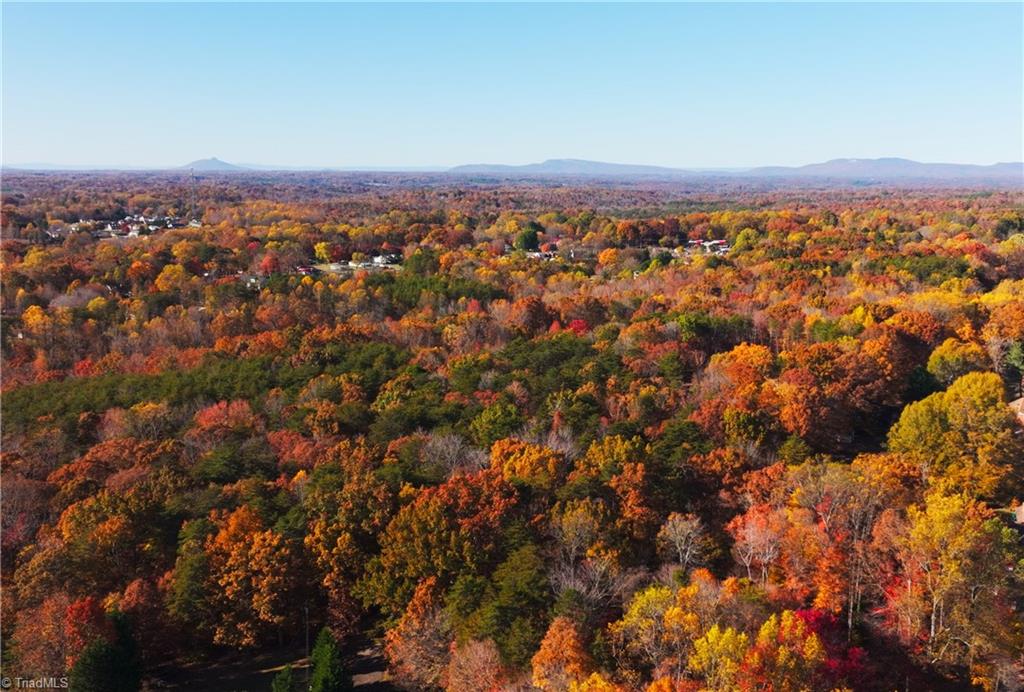 0 Old Hollow Road Winston-Salem, NC 27105 - Photo 2 of 13