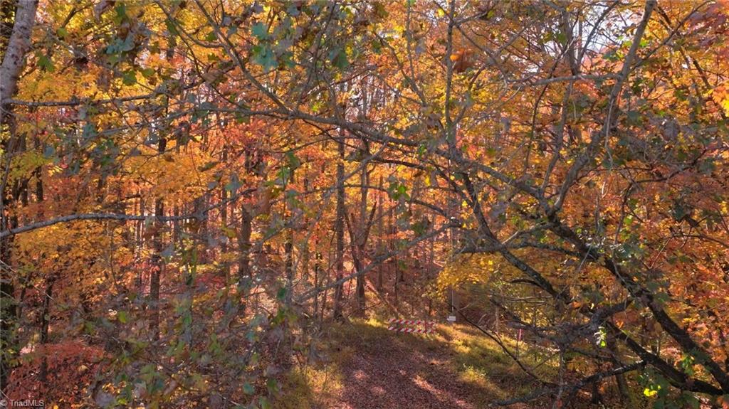 0 Old Hollow Road Winston-Salem, NC 27105 - Photo 3 of 13