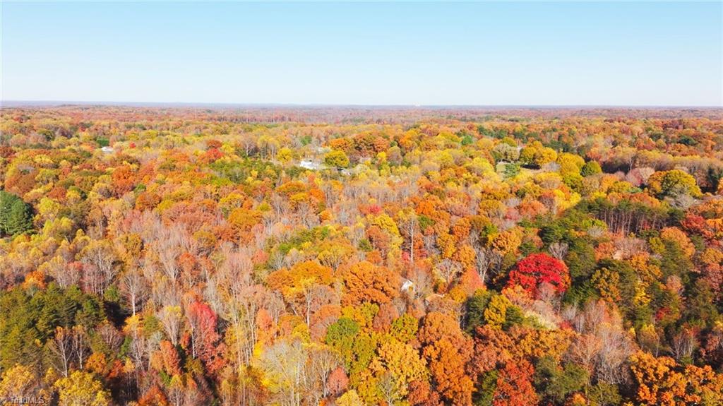 0 Old Hollow Road Winston-Salem, NC 27105 - Photo 4 of 13