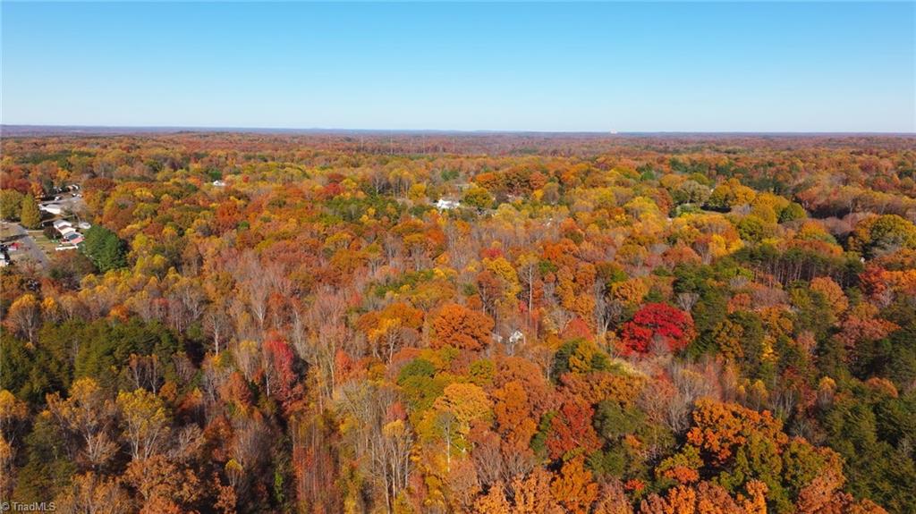 0 Old Hollow Road Winston-Salem, NC 27105 - Photo 5 of 13