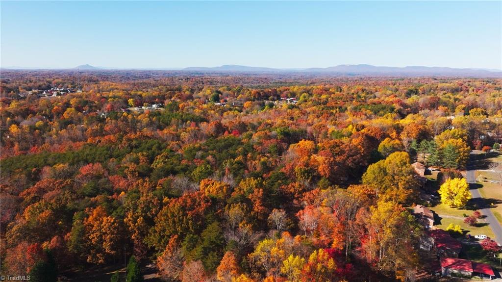 0 Old Hollow Road Winston-Salem, NC 27105 - Photo 6 of 13