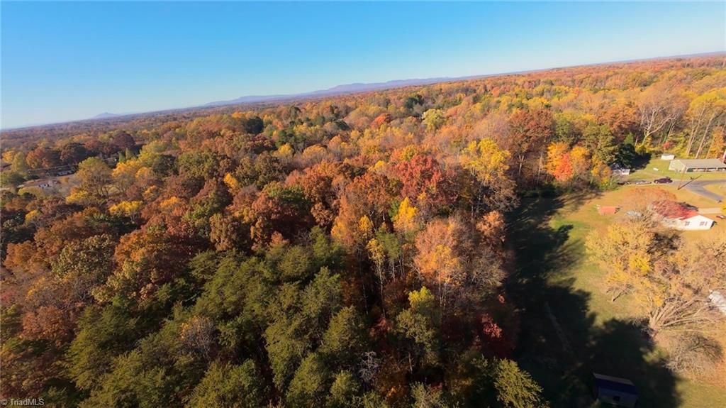 0 Old Hollow Road Winston-Salem, NC 27105 - Photo 9 of 13