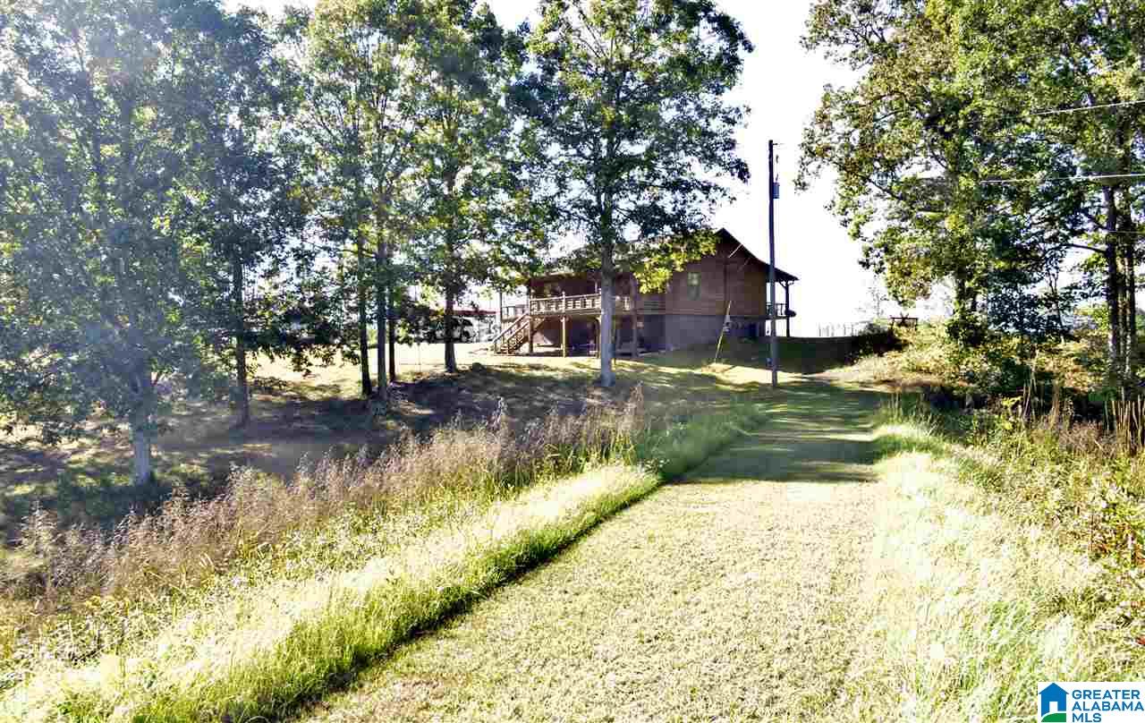 516 Wilson Mine Road Piedmont, AL 36272 - Photo 24 of 35