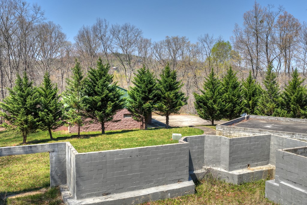 677 Barnes Chapel Road Blue Ridge, GA 30513 - Photo 30 of 40 Gallery Image 30