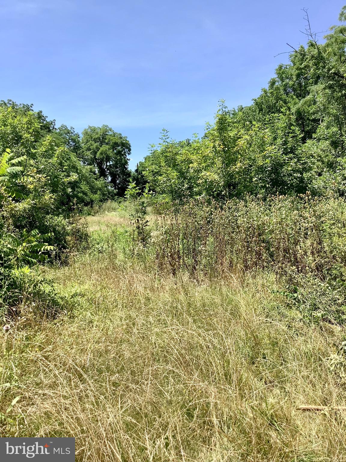 2410 Granite Station Road Gettysburg, PA 17325 - Photo 12 of 59 Land behind workshop