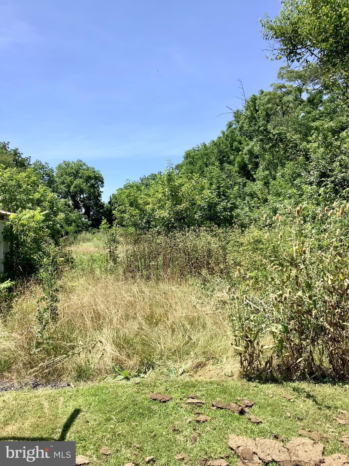 2410 Granite Station Road Gettysburg, PA 17325 - Photo 13 of 59 Land goes back to far tree line